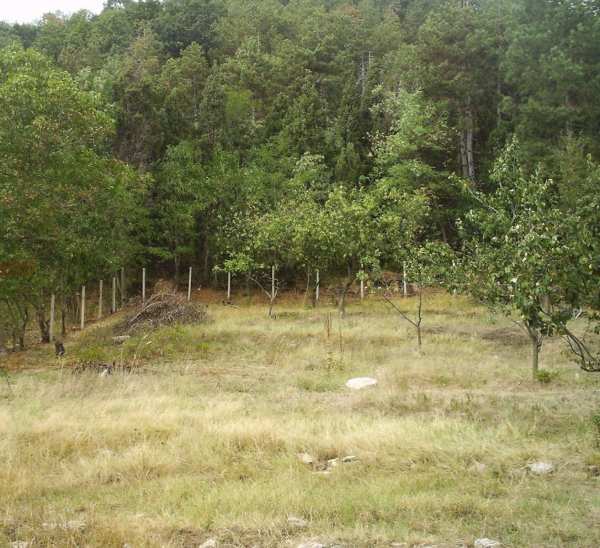 Продава парцел, гр. варна, м-т франга дере