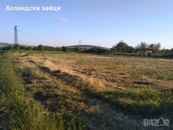 Продавам имот в с. ветрино- 2.190дка
