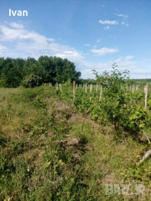 Парцел горна махала