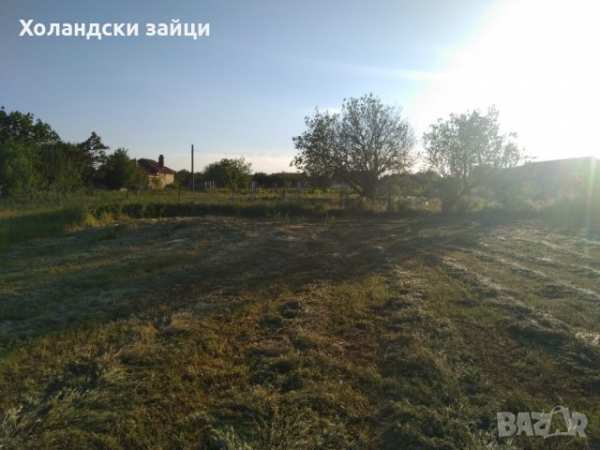 Продавам парцел в с. ветрино с площ 2.190дка