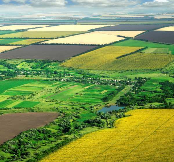 Продава земеделска земя, гр. златарица, област велико търново