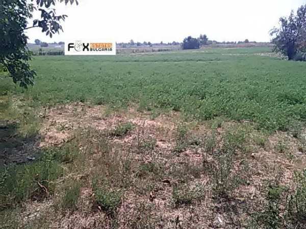 Продава парцел, гр. стамболийски, област пловдив