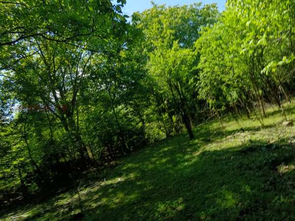 Продава парцел, гр. ябланица, област ловеч