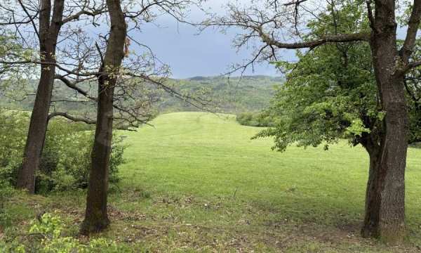 Продава парцел, гр. трявна, област габрово