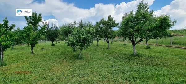 Продава парцел, с. мерданя, област велико търново