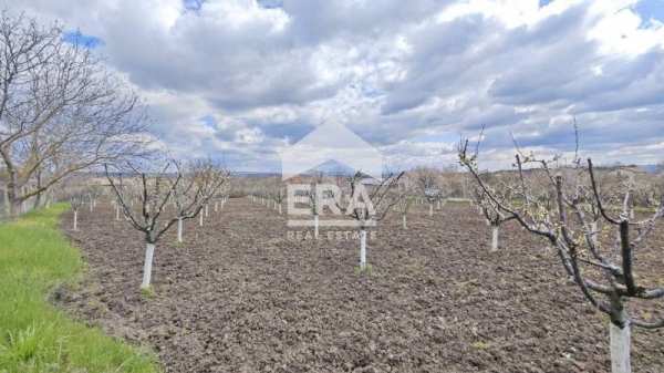 Продава парцел, с. здравец, област търговище
