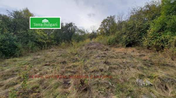 Продава парцел, с. черна гора, област перник
