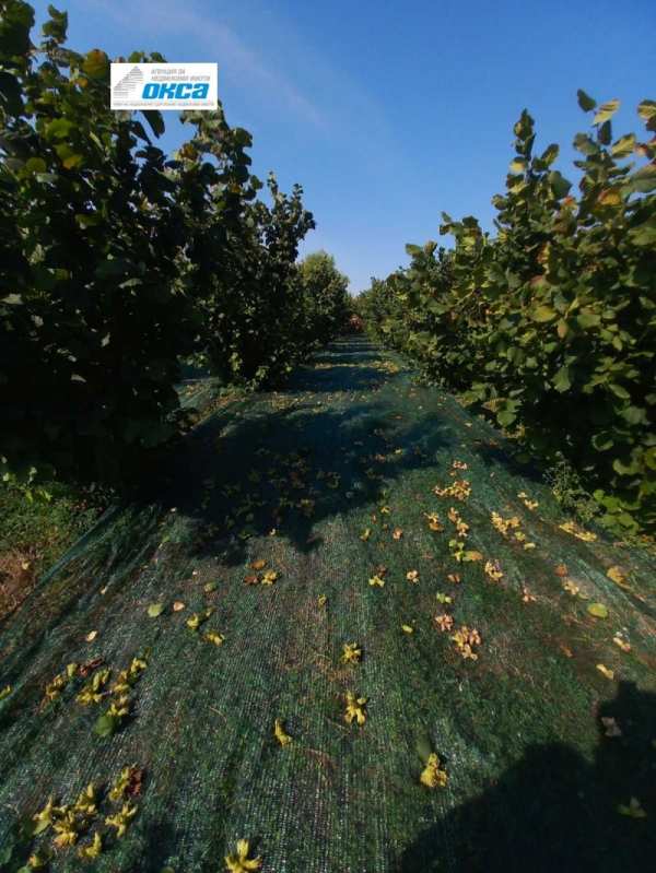 Продава парцел, с. обнова, област плевен