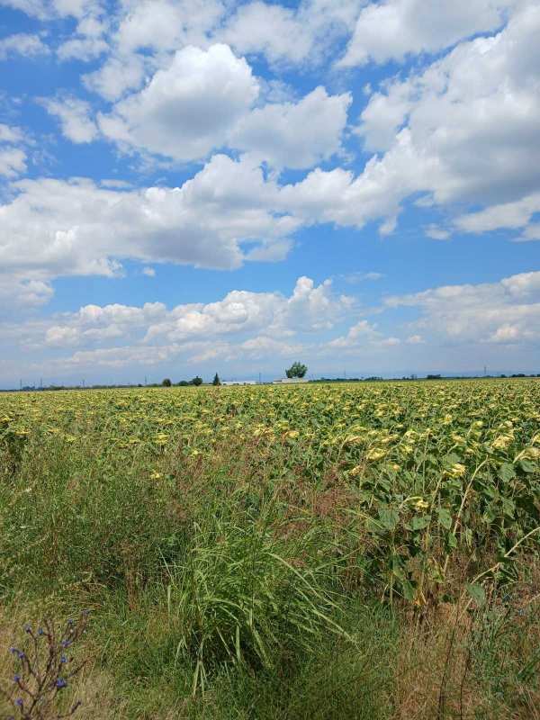Продава парцел, с. крумово, област пловдив