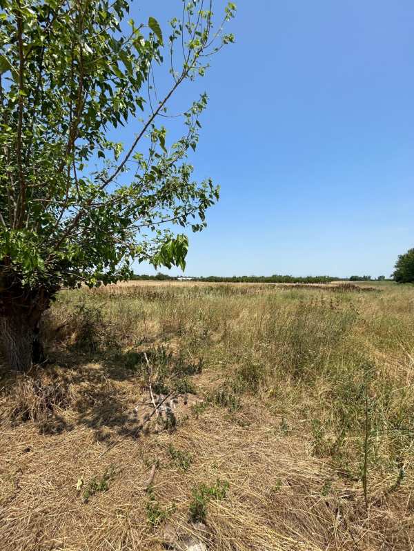 Продава парцел, с. цалапица, област пловдив