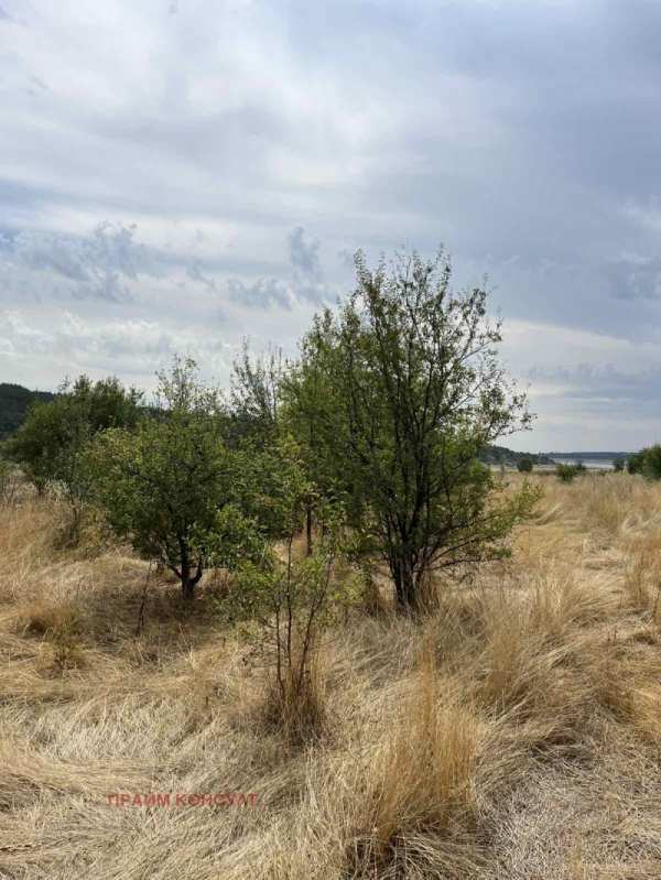 Продава парцел, с. беловица, област пловдив