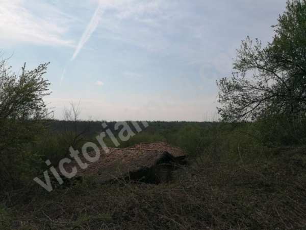 Продава парцел, с. миндя, област велико търново