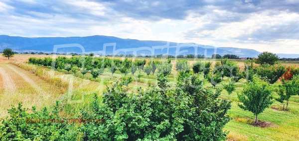Продава парцел, с. катуница, област пловдив