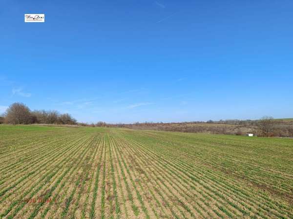 Продава парцел, с. рогачево, област добрич