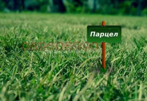 Продава парцел, с. царичино, област добрич
