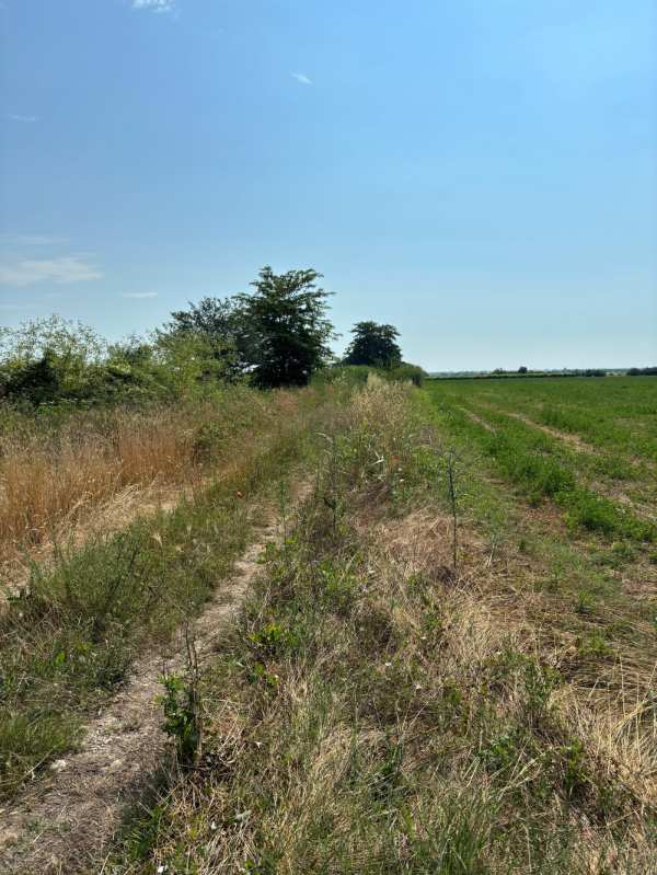 Продава парцел, с. брестник, област пловдив