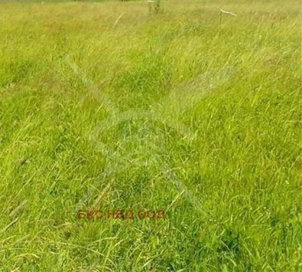 Продава парцел, с. радиново, област пловдив