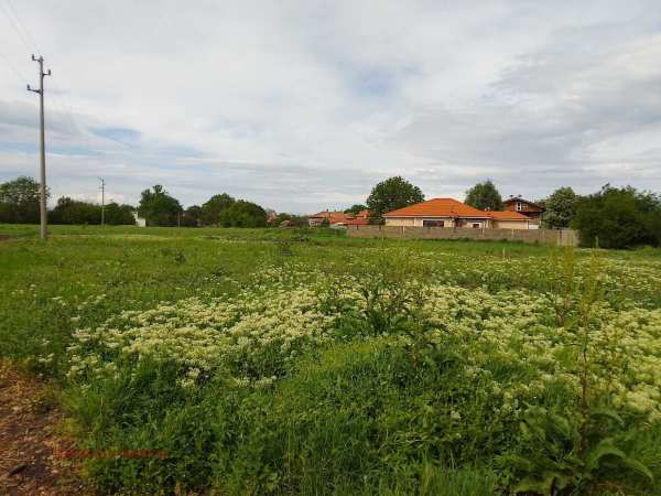 Продава парцел, с. крумово, област пловдив