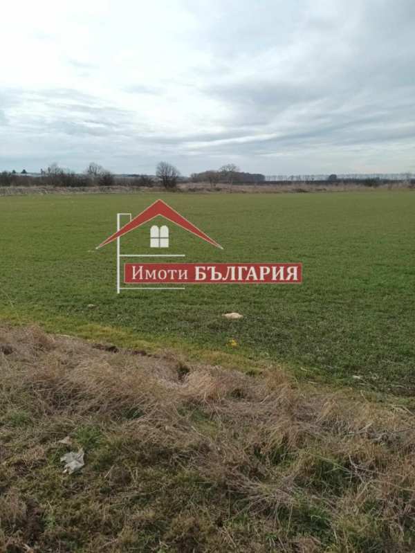 Продава  парцел с. Царичино, област Добрич
      11000 кв.м