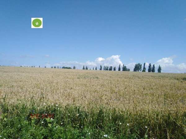 Продава парцел, с. хераково, област софия област