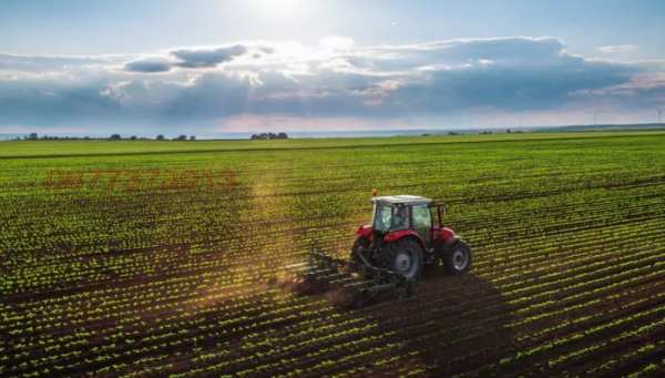 Продава земеделска земя, с. лесново, област софия област