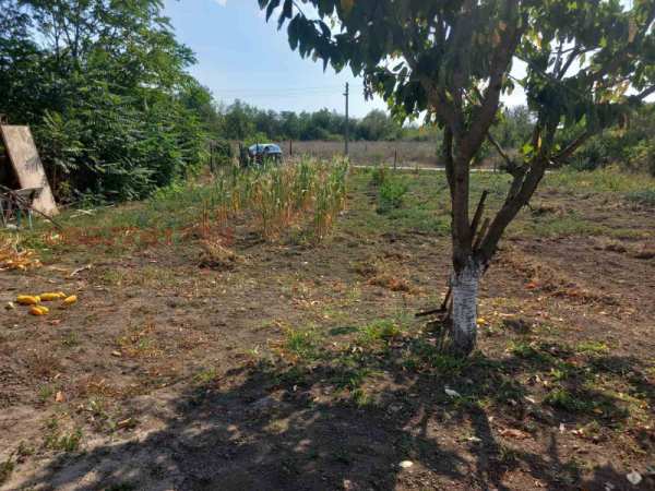 Продава  парцел с. Гурково, област Добрич
      719 кв.м