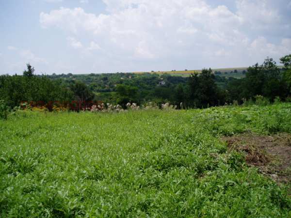 Продава парцел, с. щипско, област варна