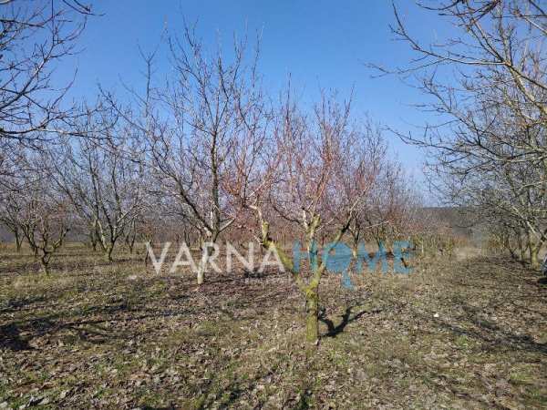 Продава парцел, с. крушари, област добрич