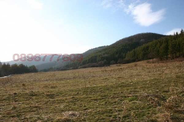 Продава  парцел с. Радуил, област София
      23599 кв.м