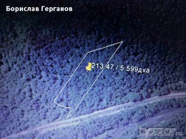 Продавам гора в с. казачево