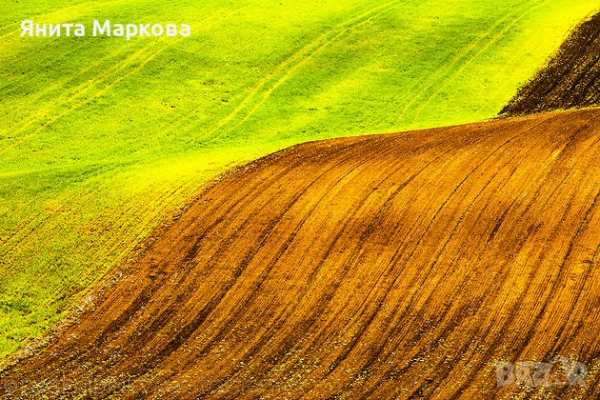 Купувам земеделска земя всички землища в община стралджа