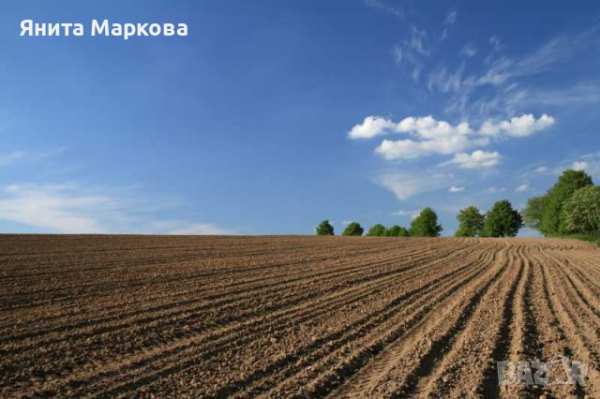 Купувам земеделска земя всички землища в община сунгуларе