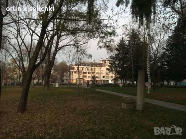 Вип