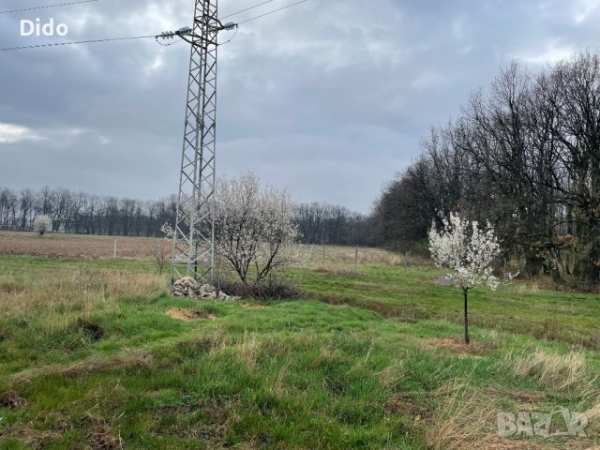 Парцел село маджерито