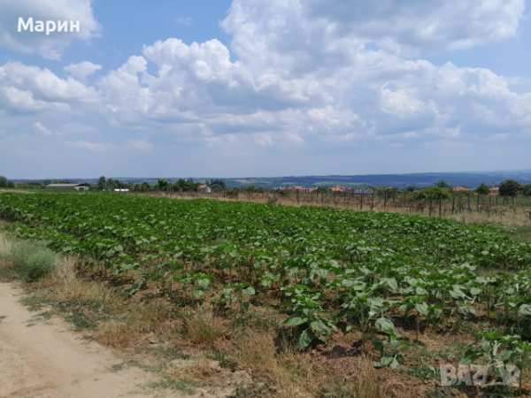 Продавам парцел село здравец