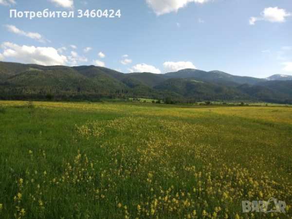 Земя в планински район - село говедарци