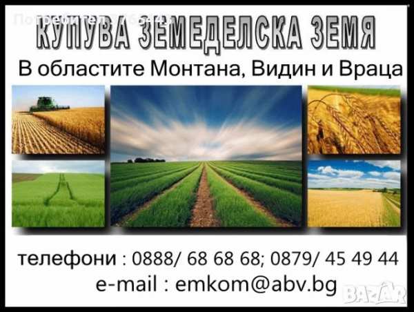 Купуваме земя в обл.монтана! може и на идеални части!