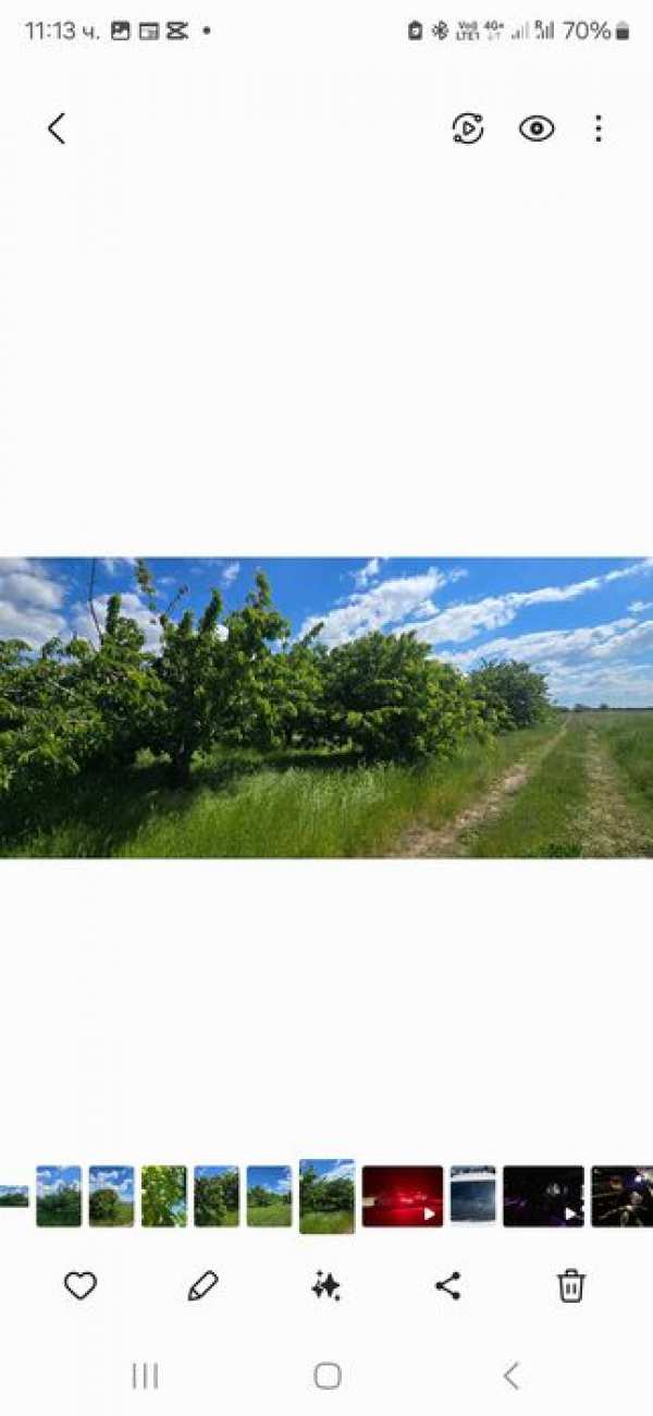 Продава се Черешова Градина