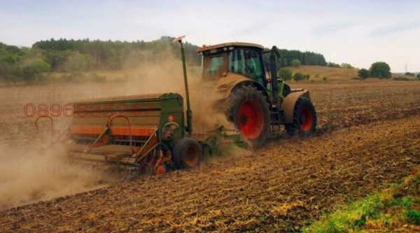 Продава земеделска земя, гр. завет, област разград