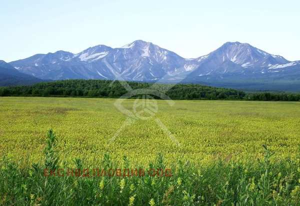 Продава парцел, с. брестовица, област пловдив