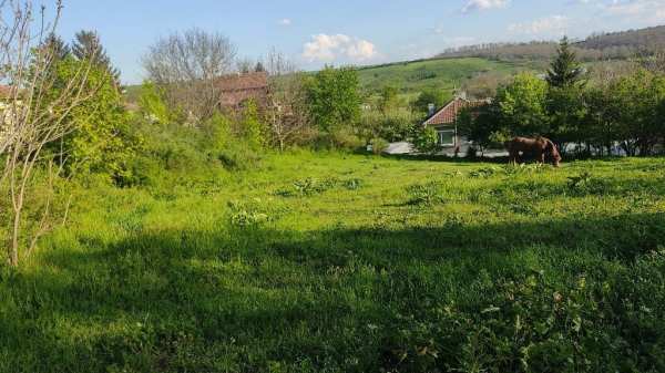 Продава парцел, с. просена, област русе