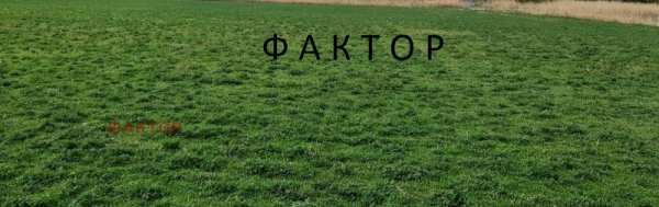 Продава парцел, с. свобода, област пазарджик