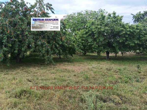 Продава парцел, с. паталеница, област пазарджик