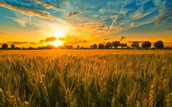 Продава земеделска земя, гр. хисаря, област пловдив