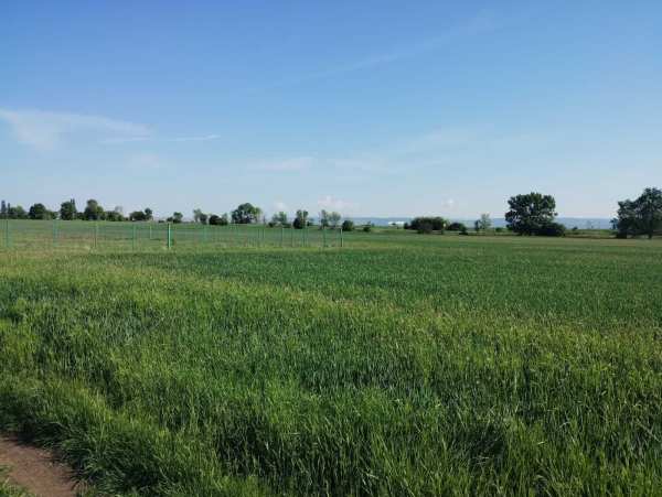 Продава парцел, с. хераково, област софия област