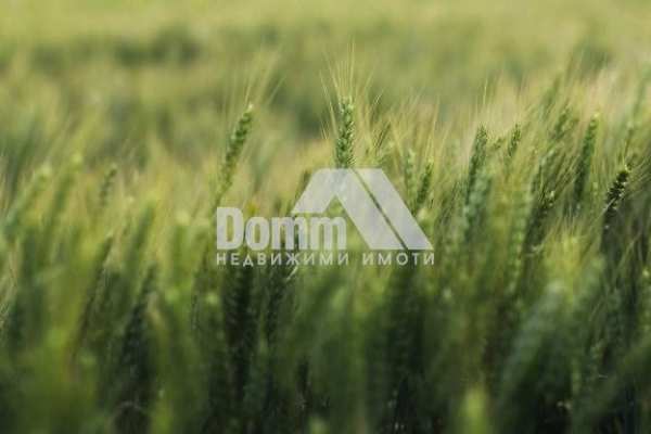 Продава земеделска земя, с. захари стояново, област добрич