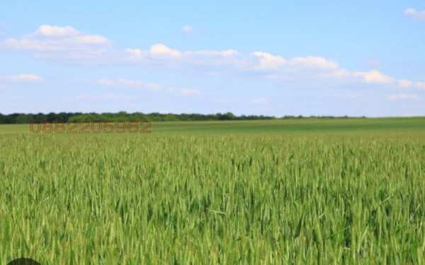 Продава земеделска земя, с. красен, област русе