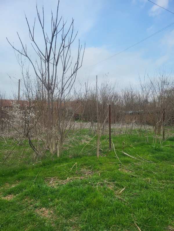 Продава парцел, гр. пордим, област плевен
