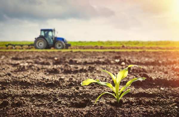 Продава земеделска земя, гр. хисаря, област пловдив