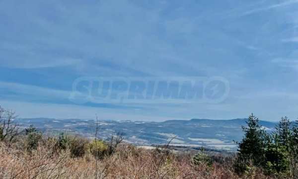Продава парцел, с. гостилица, област габрово